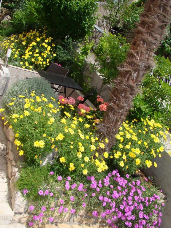 קריקווניצה Apartments Melita חדר תמונה